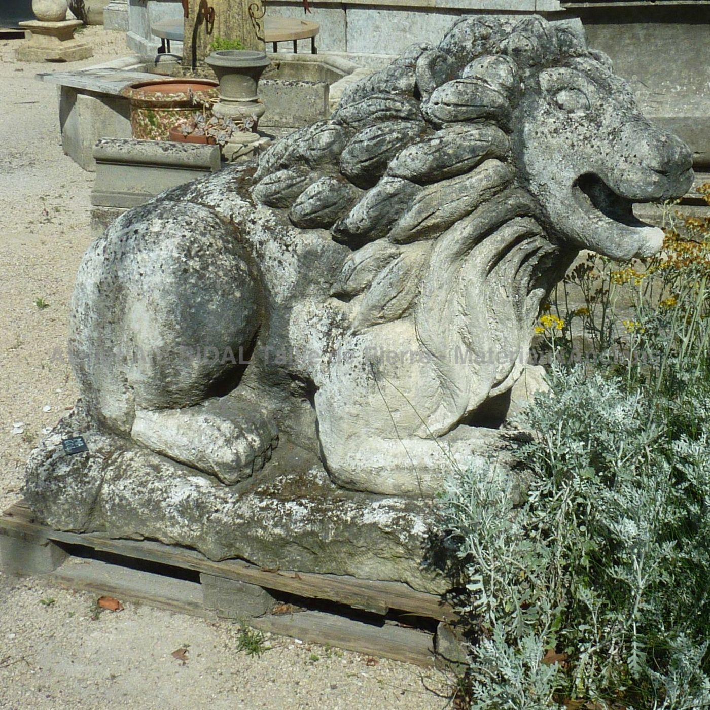 Sculpture ancienne - superbe sculpture en pierre représentant un lion.