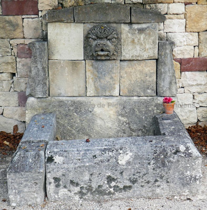 Outdoor fountain with rectangular basin | Garden fountain with a nice sculpted head