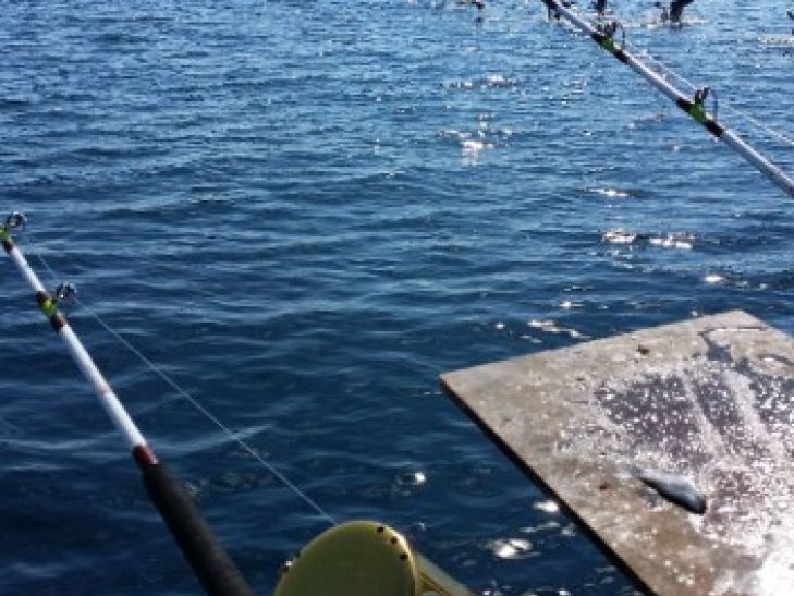 Fermeture estivale 2015